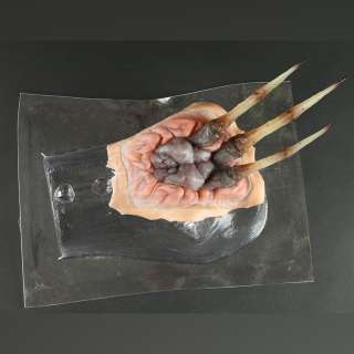 MEN IN BLACK 3 (2012) - Lot 1111 - Boris The Animal‘s (Jemaine Clement) Palm Weasel Appliance