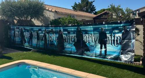 Warner Bros - Harry Potter - Harry Potter et le Prince de Sang Mêlé | Catawiki