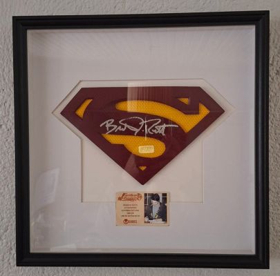 Superman - Brandon Routh signed the famous chest emblem | Catawiki