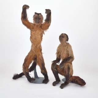 Lot #152 - Monkey Trouble, 1994