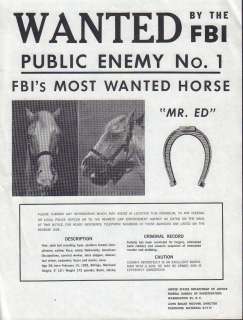 Mr Ed prop wanted poster | Piece of the Past