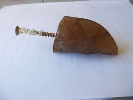 "Jurassic Park" Prop Amber Raptor Claw | Piece of the Past