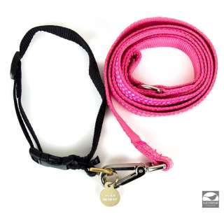 Annie (2014) | Sandy’s Collar & Leash from Annie | Blacksparrow