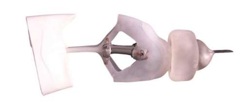 Dolphin Tale 2 Prosthetic FX Dolphin Tale Movie Props | Premiere Props