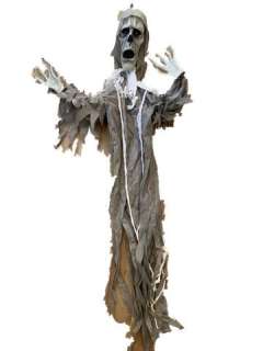 Hell Fest Skeleton Movie Props | Premiere Props