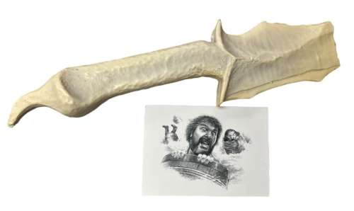 Lot 345 - The Hobbit Trilogy - Orc Dagger Casting And Crew Gift Card