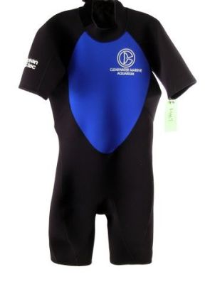 Dolphin Tale 2 Dr. Clay Haskett (Harry Connick Jr.) Wetsuit Movie Costumes | Premiere Props