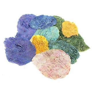 Annihilation | 10 Mutant Fungi Growths | Propstore