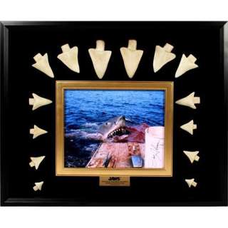 JAWS Replica - Fourteen Tooth Display | Premiere Props