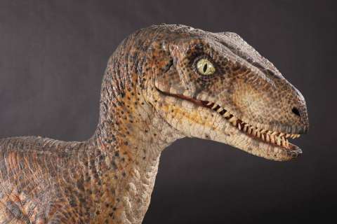 Full-scale Velociraptor maquette from Jurassic Park | Profiles in History