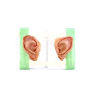 The Hobbit: An Unexpected Journey (2012) - Lot 823 - Bilbo Baggins‘ (Martin Freeman) Ear Appliances