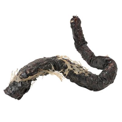 Stranger Things S5 Production Used Upside Down Vecna Large Vine Section A2147