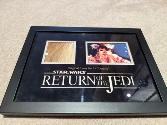 Framed Logray Ewok Fur – Return of the Jedi – Propstore / Stuart Freeborn | eBay Europe (Buy It Now)