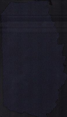 Capt America piece of costume cloth | Piece of the Past