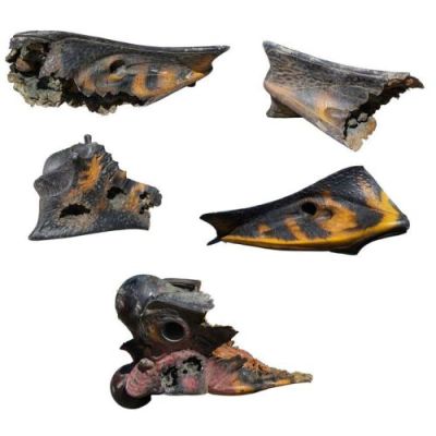 Starship Troopers (1997) | Lot 571 : Set of Five Full-Size Bloodied Bullet-Riddled Arachnid Warrior Head and Body Chunks | Propstore