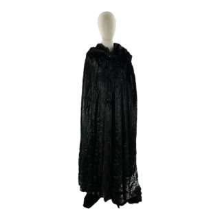 My Lady Jane Lady Jane Screen Worn Cloak Ch 24 Sc 849 Ep 108 | VIP Fan Auctions