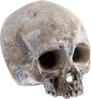 A Prop Skull from "Man of Steel." | Heritage