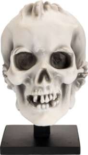 Metropolis (UFA, 1927,2024), Death Mask Display from Original Studio Casting.