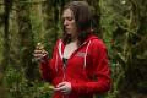 Grimm - Lot 725 - The Postman‘s Hummel Figurine