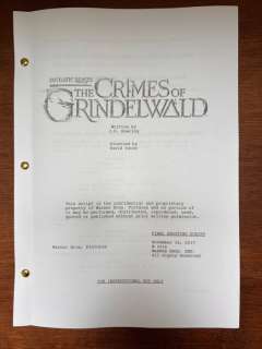 And The Crimes Of Grindelwald (2018), Fantasic Beasts - Fantasic Beasts, And The Crimes Of Grindelwald (2018) - Johnny Depp, Eddie Redmayne, Jude Law, Katherine Waterston, Ezra Miller - Warner Bros.