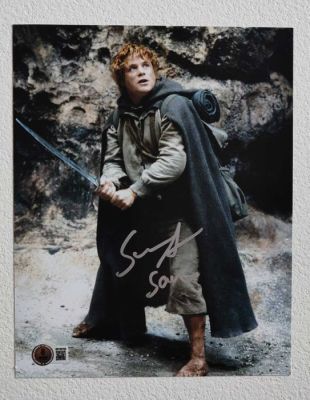 Lord of the Rings - Sean Astin (Sam) - Photo - Beckett Witness | Catawiki