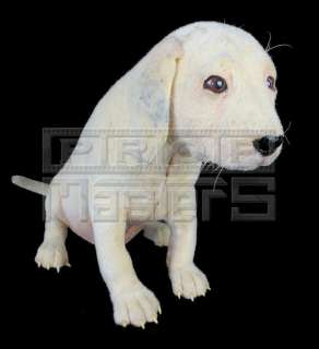 102 DALMATIANS - Oddball Puppy Stand-In