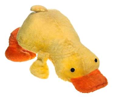 Click - Stuffed Duck | ScreenUsed