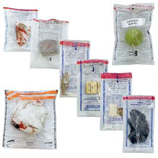 Shining Girls Kirby Elisabeth Moss Screen Used Assorted Evidence From Kirby’s Attack Ep 103 | VIP Fan Auctions