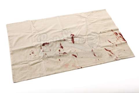 THE EXPERIMENT - Bosch‘s (David Banner) Bloody Pillowcase