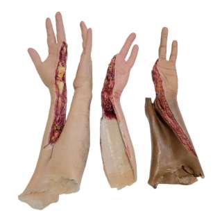 Men Samuel Zak Rothera-Oxley Screen Used Prosthetic Arm & Half Prosthetic Arm Set | VIP Fan Auctions