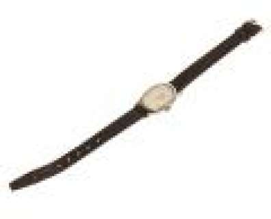 CSI - Lot 351 - Sara‘s Timex Watch