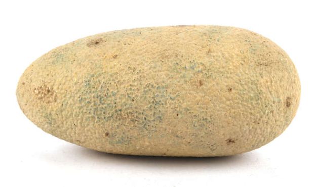 Jurassic World: Dominion (2022) Production-made Velociraptor Egg from the Universal Studios film.… | Ewbank’s