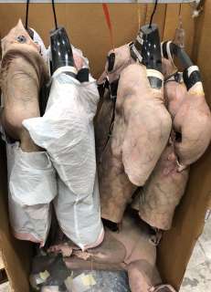 The American Horror Mystery-Thriller Show - Lot 31 - Group of prosthetic custom made suits & molds - 4 torso suits / ears / cheeks / forehead / hips