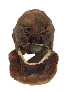 Thor: Dark World Dark Elf (Christopher Eccleston) SFX Makeup Movie Props | Premiere Props