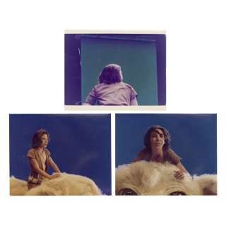 The Neverending Story (1984) - Lot 1009 - Three Production Reference Photos