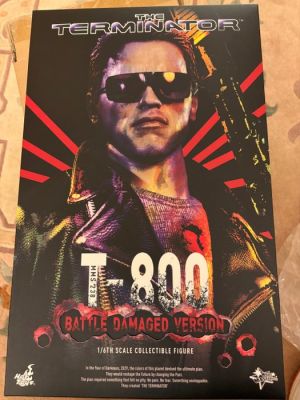 Hot Toys - Action figure T-800 (Battle Damaged Ver.) - 2000-2010 - China | Catawiki