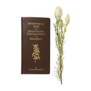INCREDIBLE HULK, THE (2008) - Lot #181 : Bruce Banner‘s (Edward Norton) Botany Book and Flower