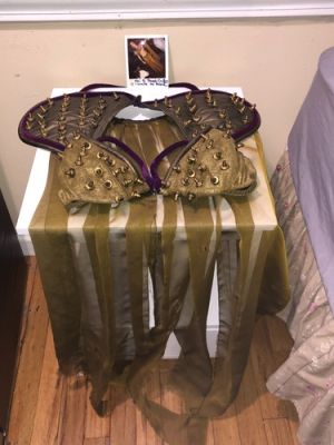 Screen-Used LEPRECHAUN 4: IN SPACE Princess Zarina Outfit w/Continuity Polaroid | eBay US (Buy It Now)