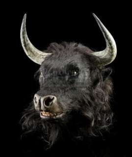 CHRONICLES OF NARNIA, THE: VOYAGE OF THE DAWN TREADER (2010) - Lot 74 - Tavros (Shane Rangi) Animatronic Head