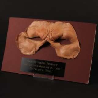 Angel - Angel (David Boreanaz) prosthetic appliance