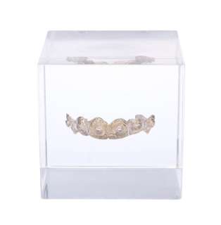 BREAKING BAD (T.V. SERIES, 2008-2013) - Lot #543 : Hank Schrader‘s (Dean Norris) Trophy of Tuco Salamanca‘s (Raymond Cruz) Grill in Lucite