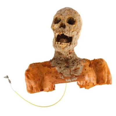 GHOST STORY (1981) - Lot #100 : Dick Smith Collection: Eva Galli‘s/Alma Mobley‘s (Alice Krige) Cable-Controlled SFX Corpse Bust Puppet