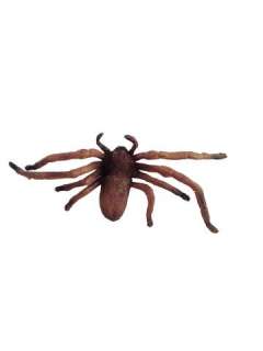 Lot 32 - Arachnophobia Tarantula Screen Used Movie Props