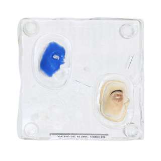 Lot #24: Maxxxine Detective Williams (Michelle Monaghan) Production Worn Prosthetic Face Set Sc 125, 75