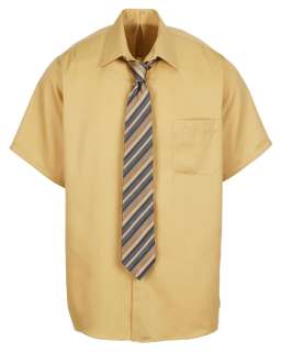 The Office - Dwight Schrute (Rainn Wilson) Ensemble