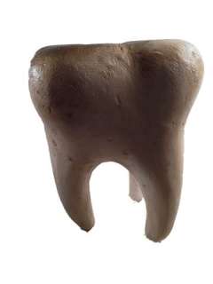 Django Dr. King Schultz (Christoph Waltz) SFX Molar Movie Props | Premiere Props