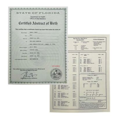 Lot 25: I Am Number Four John (Alex Pettyfer) Production Used Daniel Jones Birth Certificate And School Transcript | VIP Fan Auctions