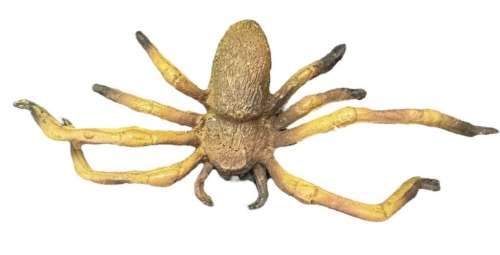 Lot 12 - Arachnophobia (1990) - Spider