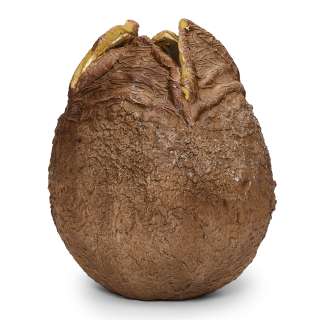 Production Used "Ovomorph" Prop Hatchling Egg from Alien Vs. Predator. | Bonhams