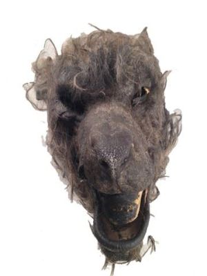 Underworld: Awakening Lycan Head Movie Props | Premiere Props